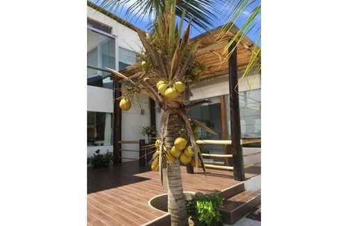 Las Pocitas House | Mar de Mancora Playa Las Pocitas