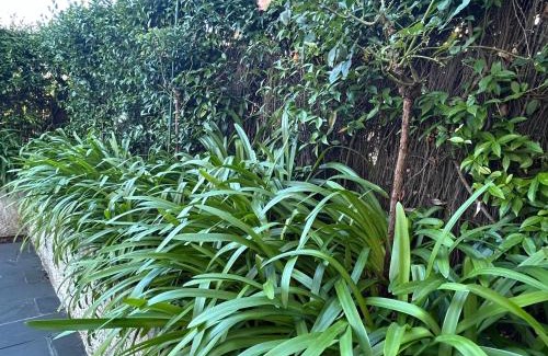 Cambre Apartment | Mar y Playa con Jardín