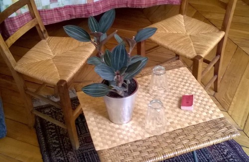Saint-Merri House | Marais: Guestroom near Seine, between Beaubourg and Les Halles