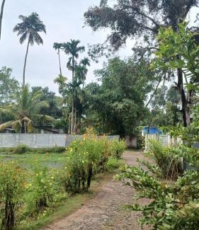 Mararikulam House | Marari Beach Way Inn