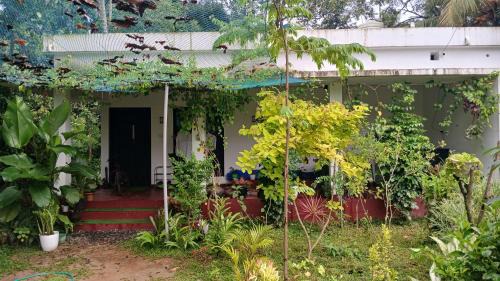 Mararikulam House | Marari Beach Way Inn