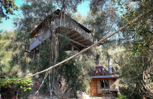 Skala House | Margaritis's Treehouse