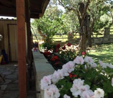 Kato Vrontou House | Margis studio