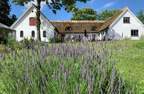 Hillerod Bed & Breakfast | Mariegaardens Gæstehuse