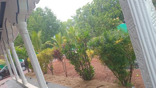 Kalkudah House | Marilyn guest house