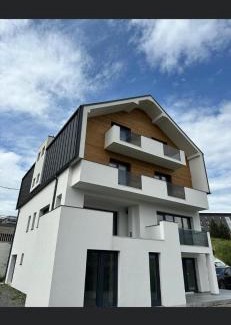 Paltinis Cabin | Marmotta Paltinis