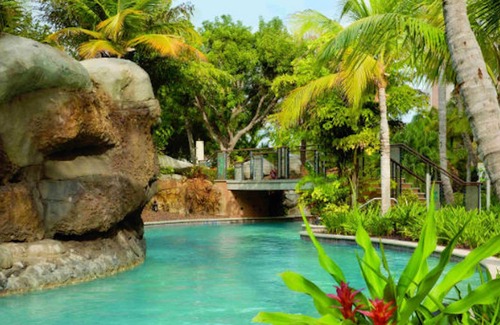 Palm Beach Condo | Marriott Aruba Surf Club 2 Bed 2 Bath - HIGHEST REVIEWED OWNER