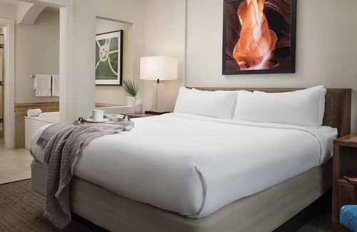 Desert Ridge Resort | Marriott Desert Ridge SUPERBOWL/WasteManagement!