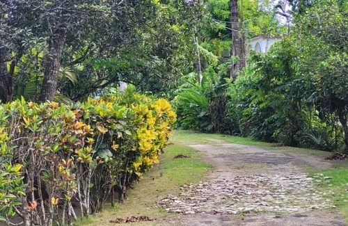 Negril Apartment | Marvelous 1-bedroom apartment in Negril with WiFi