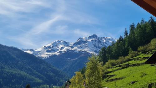 Rabbi Ski Chalet | Mas del Mezdì - mountain chalet Val di Rabbi