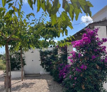 Sant Jaume d'Enveja House | Mas Midó