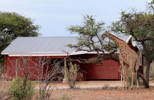 Dikgatlong Other | Mattanu Private Game Reserve