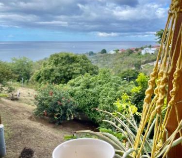 Vieux-Habitants House | Mawima