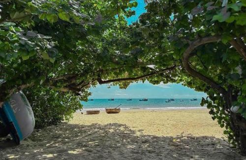 Tuy An House | May's House An Chấn