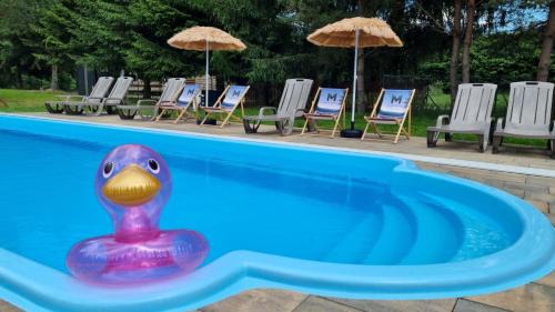 Lukta Apartment | Mazurska Zatoka Resort & Spa - Apartamenty nad jeziorem z prywatną plażą i podgrzewanym basenem zewnętrznym, Mazury w rytmie SLOW