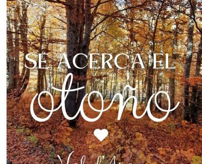 Bossost House | mcastet, casita aranesa en el valle de aran