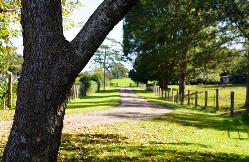 Maleny House | McCarthy Grove.