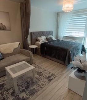 Druskininkai Apartment | MEŠKUTĖS APARTAMENTAI