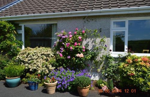 Lisnagunogue Bed & Breakfast | Meadow View B&B