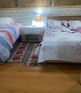 Chaiten Apartment | Mecohue