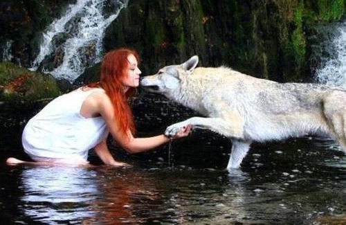 Magyarhertelend House | Mecseki Farkasvár