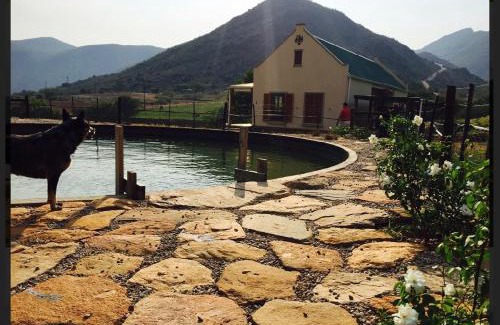 De Rust House | Meijer's Rust