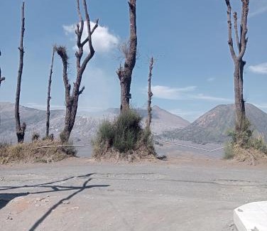 Ngadisari House | Mentigen Homestay