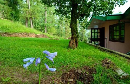 Baldeyan Apartment | Merlin Grove Suites Simla