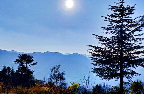 Baldeyan Apartment | Merlin Grove Suites Simla