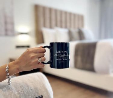 Zamora de Hidalgo Hotel | Meson del Valle