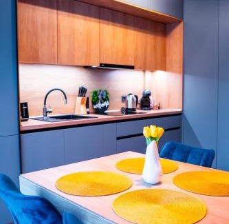 Tirgu Mures Apartment | Metropolitan Escape