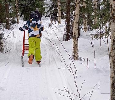 Juuka Ski Chalet | Metsälä