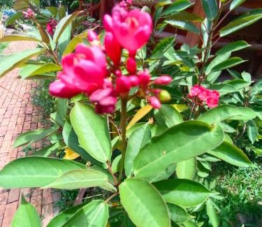 Thani House | MG Guesthouse