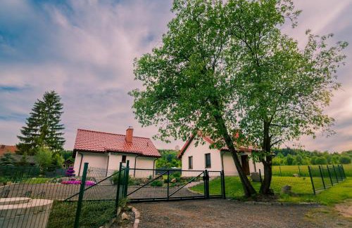 Polanica-Zdroj House | Między ciszą a ciszą - domki całoroczne
