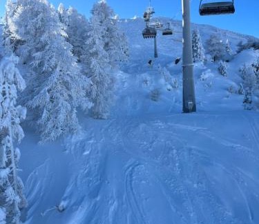 Pfons Apartment | Mi's Apartment