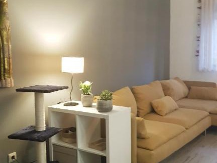 Praia de Mira Apartment | Miau Beach Apartment - Pet Friendly
