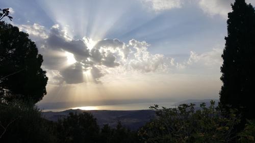 Amirim House | Michelle Suite סוויטת מישל