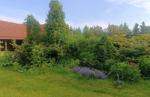 Olsztynek House | Mierki 66 Pokój Rodzinny 1