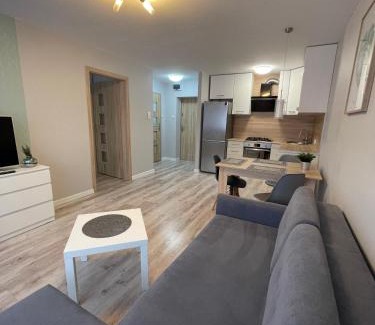 Plock Apartment | Mieszkanie w centrum z oddzielną sypialnią