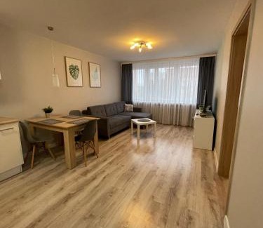 Plock Apartment | Mieszkanie w centrum z oddzielną sypialnią