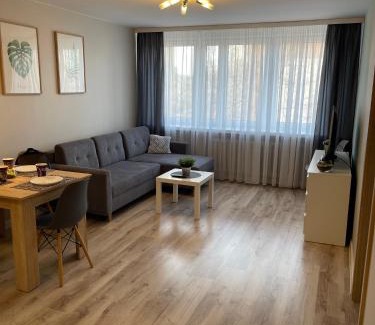 Plock Apartment | Mieszkanie w centrum z oddzielną sypialnią