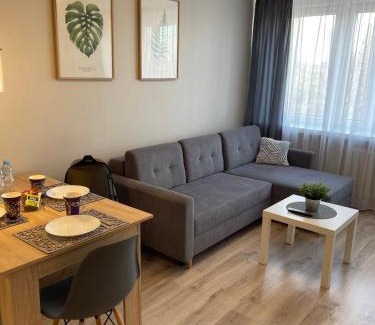 Plock Apartment | Mieszkanie w centrum z oddzielną sypialnią
