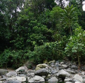 Kitojo Other | Mihunga Campsite and Community Center Ruboni