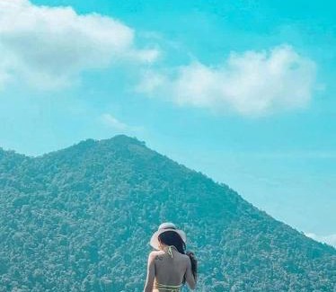 Tam Dao Apartment | Mimosa 228-phòng săn mây