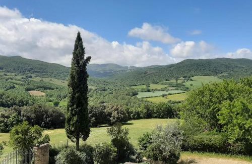 Castelnuovo di Val di Cecina Apartment | MIMOSA at Pietraie a nice studio with terrace on the Valley
