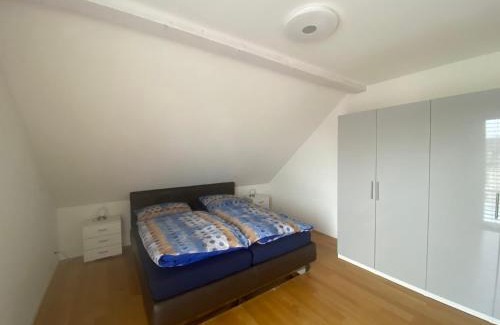 Rickenbach Apartment | Minergie