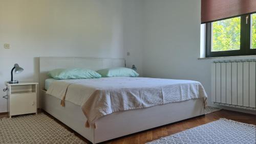 Muntic Apartment | Minhen