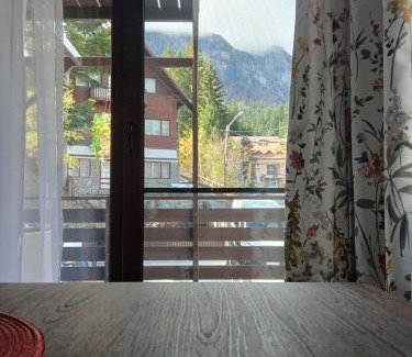Busteni Apartment | Mini Apartament