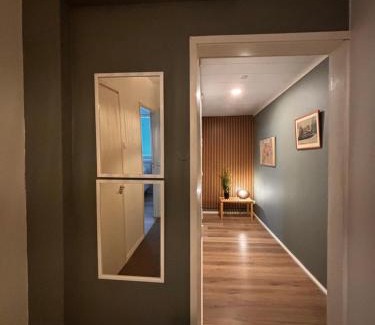 Jyvaskyla Apartment | Minna Canthin katu Apartment