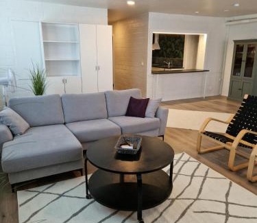 Jyvaskyla Apartment | Minna Canthin katu Apartment